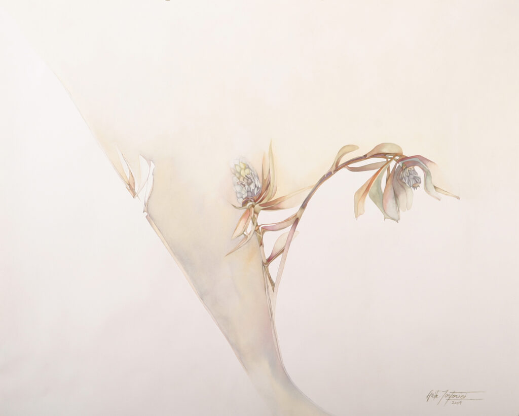 Anita Artwork IV, watercolor on paper by Anita Tortorici