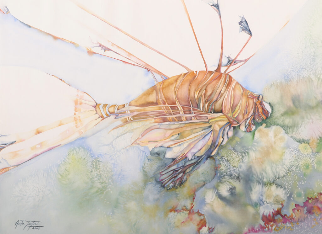 Lion of the Sea, watercolor on paper by Anita Tortorici