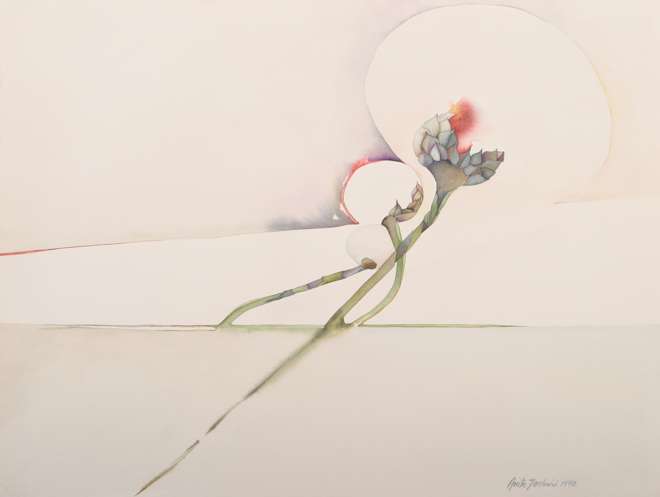 Watercolor study of a flowering stem by Anita Tortorici