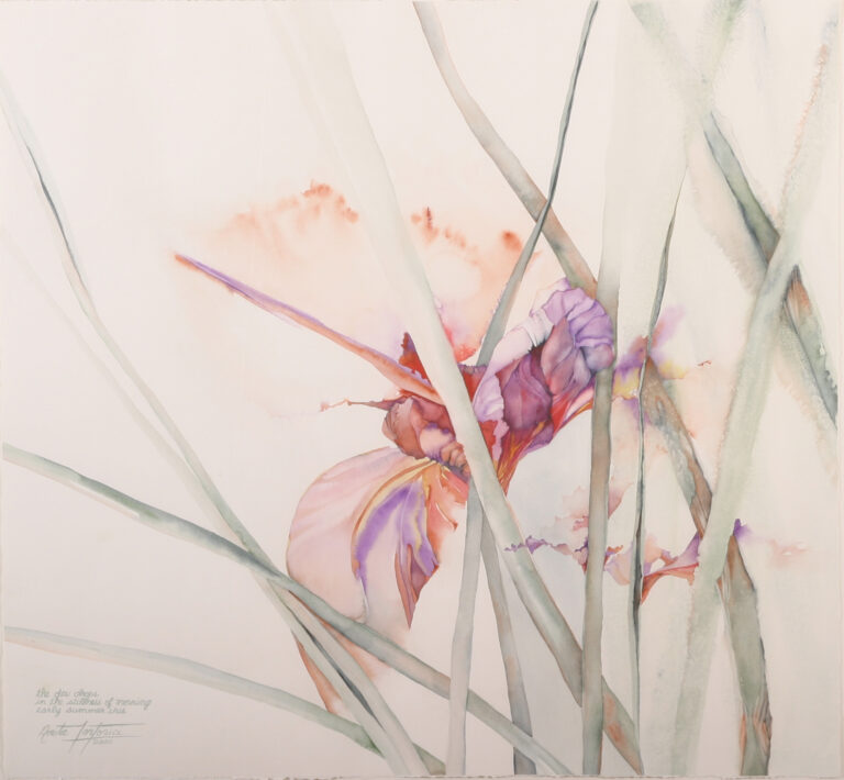 The Iris Fades at Dusk, watercolor on paper by Anita Tortorici